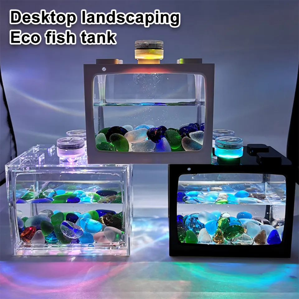 Ready Stock Mini Aquarium Fish Box With LED Light Home For Small Betta Fish Shrimp Moss Balls Or Insects Table Decoration Ocean Micro Landscape Box betta tank aquarium Lazada