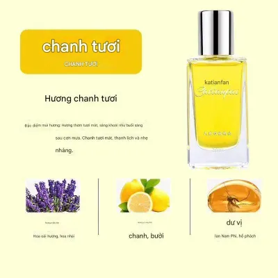 Tinh dầu xe ô tô Nước Hoa ô Tô Kẹp Nước Hoa Ô Tô Cao Cấp túi thơm để xe ô tô tinh dầu treo xe