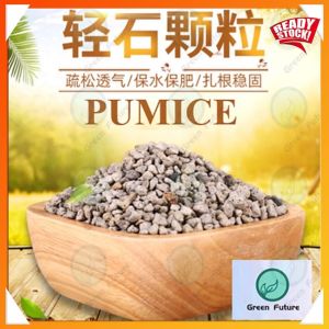 PUMICE STONE 轻石 CACTUS SUCCULENT 轻石 浮石 多肉轻石/浮石 filter batu apung