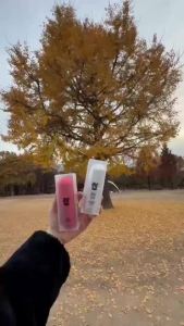 NEW S.Lab 2025 - No.1 Korea Weight Control  韩国两大瘦身专家合力研发  燃脂  控制饮食/Slimming  FreeDelivery  SLIMLAB  SPAYLATER PAY