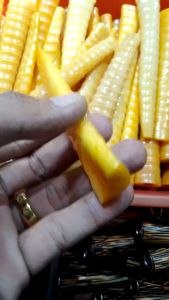 pipa once tulang sapi kualitas super