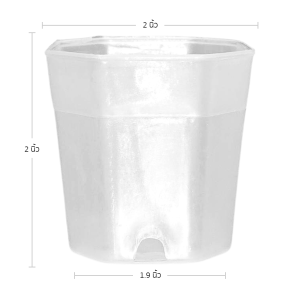 กระถาง กระถางแคคตัส กระถางแปดเหลี่ยม 2 นิ้ว สีใส Bundle 100 ใบ ชิ้น อัน