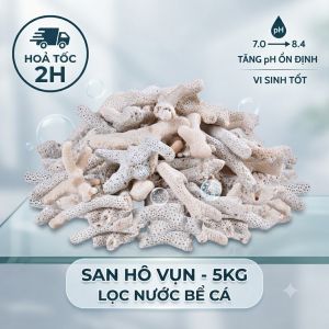 San Hô Trắng 5kg - Vật Liệu Lọc Nước Hồ Cá Tăng pH Trang Trí Bể Cá Cảnh Cao Cấp