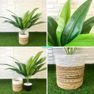 Pohon Artificial Tanaman Hias Daun Kunyit X12 Latex Cover Pot Anyaman Seagrass Dekorasi Cafe Aesthetic