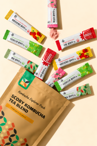 HEALSLAB Instant Kombucha Powdered Drink Explorer Pack