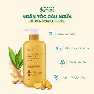 Bộ Sản Phẩm Chăm Sóc Tóc Cỏ Cây Hoa Lá Việt Nam