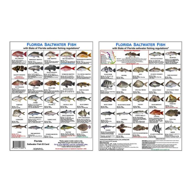 Florida Saltwater Fish Identification Card Magnetic Color Photos of ...