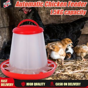 Chicken Feeder Bucket Plastic Feeding Tool Chicken Pine Pine Chicken Poultry Cable