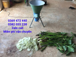 Máy băm rau bèo nhỏ nhuyễn tại Hậu Giang