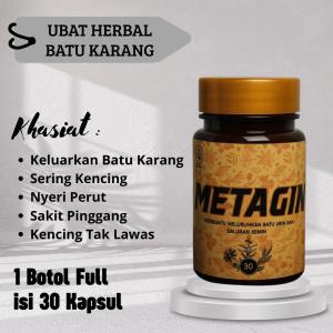 METAGIN - Ubat Herbal Pemecah Batu Karang dan Infeksi Saluran Kemih