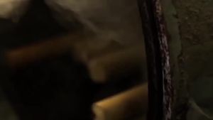 Solid Wood Fabric Sofa Rattan Sofa Log Rattan Chair Combination Small Apartment Mahogany Japanese Style Living Room