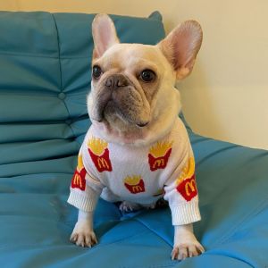 DY Loving Fashionable Dog Sweater M Fast Food Logo French Fries Cat Knitted Coat Shihtzu Clothes to Keep Warm