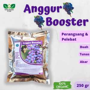 Pupuk Anggur Pelebat Organik Booster Buah agar cepat berbuah lebat cocok untuk anggur cangkok import jupiter merah jumbo Penyubur dan Perangsang Anggur asli ampuh Nutrisi Terbaik obat Agar Bunga Tidak Mudah Rontok mempercepat pembuahan besar dan lebat
