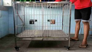 2×3×2.5 2DOORS. 304 STAINLESS DOGCAGE WITH POOPTRAY