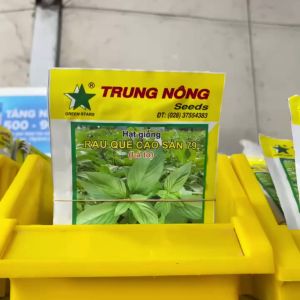 Gói 2GR Hạt Giống Bí Đao Chanh Lai F1 606 TRUNG NÔNG– Hạt Giống Bí Đao F1