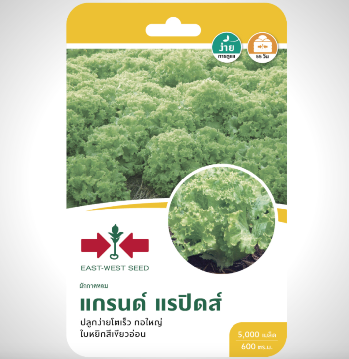 ผักกาดหอมแกรนด์ แรปิดส์ F1 ใบเขียวใหญ่