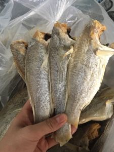 Khô Cá Đổng Tràm Béo Ú Ít Xương - Vựa Khô Tú Sương