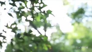 Solid Wooden Bed Frame with Storage Drawers Home King Bed Queen 1.5m Single/ Super Single Nordic Modern Simple High  Storage Household