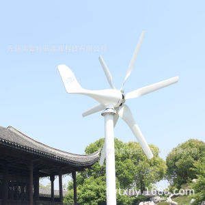 Máy Phát Điện Tuabin Gió 800W Giá Tuabin Gió Tuabin Gió Cho Gia Đình