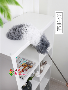 WE 2201 = 伸缩除尘掸 Telescopic duster
