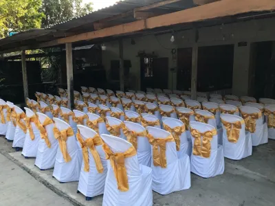 ผ้าคลุมเก้าอี้พลาสติกสีขาว พร้อมโบว์สีทอง เซ็ทขายดีที่สุด ราคาแพ็คละ750บาท (10ผืน)
