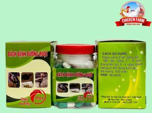 BÁCH BỆNH ĐƯỜNG RUỘT CHO GÀ - HŨ 100 VIÊN