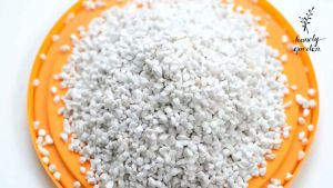 Đá Perlite Cao Cấp - Đá Trân Châu Sạch Bụi Vụn Đa Dạng Kích Thước Đá Bọt Xốp Trộn Đất Trồng Cây | Handy Garden