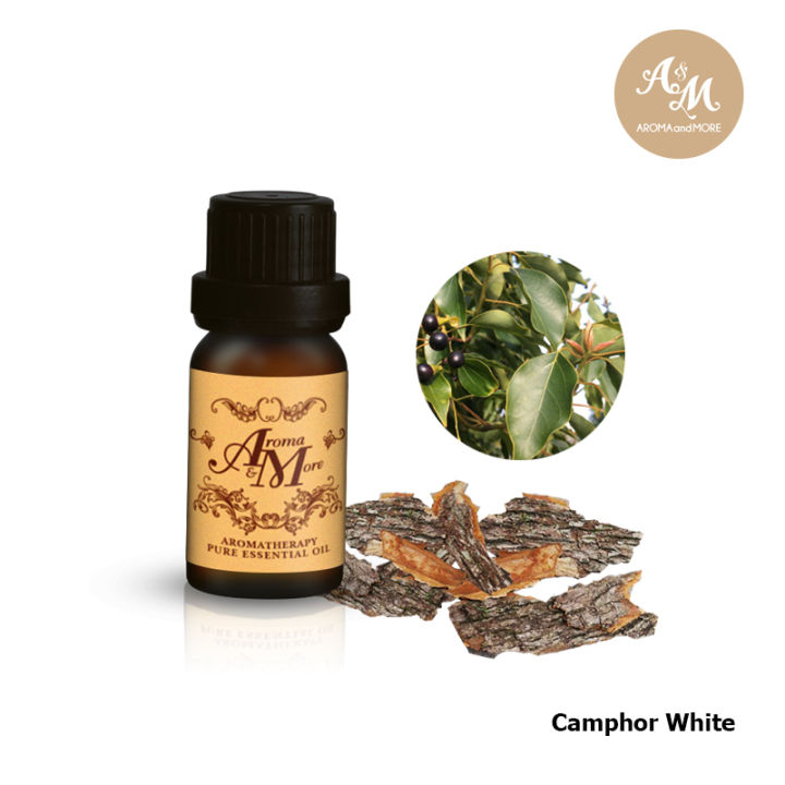 Aroma&More Camphor White น้ำมันหอมระเหยแคมเฟอร์ ไวท์(การบูร) 100% จีน 10/30/100ML