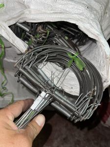 กับดักหนู วงเดือน กับเวียดนาม ขนาด 5 นิ้ว 6 นิ้ว 6 นิ้วมีฟัน มัดละ 10 ต้ว