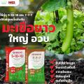 ปุ๋ยปลาเทราต์ สูตร 5-10-10 สำหรับสะสมอาหารก่อนออกดอก บำรุงลูกเล็ก ขนาด25กิโลกรัม (1กระสอบ/1คำสั่ง). 