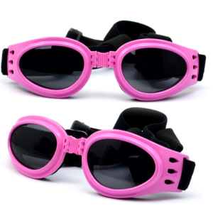 Mắt kính cho Chó chống tia UV có dây quàng chắc chắn (mẫu mới) - Hara Pet Store