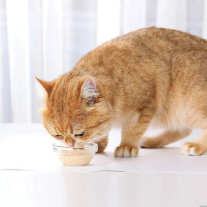 ถูกที่สุด ขนมแมวนำเข้า ครีมแมวเลีย ขนมแมวเลีย สุดคุ้ม! ผมสว่าง สุขภาพ โภชนาการ cat snack stick 15g อาหารแมว 10 ซอง