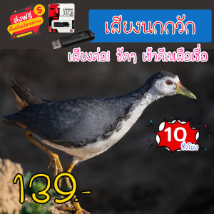 เสียงต่อ เสียงนกกวัก แฟลชไดร์ฟเสียงนกกวัก สำหรับต่อหรือล่อนก ความยาว 10 ชม.เสียงดัง เสียงใสกังวาน ได้ผล100%