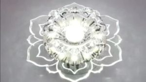 Modern Acrylic Crystal Aisle Ceiling Light Creative Glass Corridor Lights Flower-Shaped Downlight Balcony Porch Corridor Living Room Decorative Chandelier Lighting.