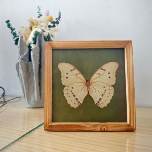 GRACE Creative Butterfly Specimen Photo Frame Personalized Vintage Picture Frame Home Decoration Simple Wooden Decorative Painting Table Setting