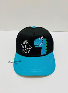 topi anak karakter beruang jerapah zebra dinosaurus kekinian topi anak laki laki cewek 2-10 tahun