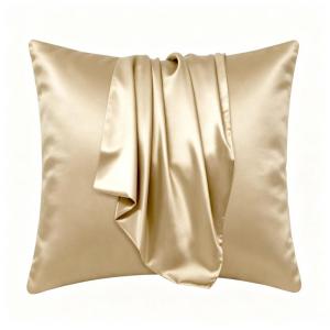 Dreamira Home Silky Satin Throw PillowCase[CASE ONLY]  Zipper Sofa Cushion Cover 18x18in Smooth Silk