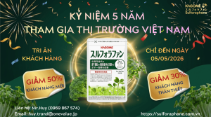 [CHÍNH HÃNG] Viên uống bổ gan Kagome Sulforaphane Nhật Bản - Hỗ trợ giải độc gan tăng cường sức khỏe - Gói 93 viên