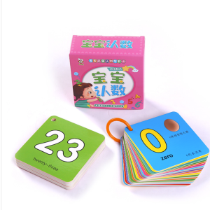 Flashcard / Flash Card Mandarin Inggris Pinyin T12