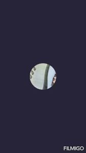 Windproof Flame Lighter