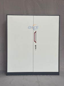 multipurpose steel cabinet  -B7(FREE Assemble 101*90*40cm)