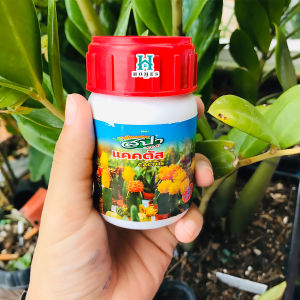 ปูนามัน กระบองเพชร สูตรเข้มข้น 100 ซีซี homes ปูนาแคตตัส สูตรเข้มข้น กระบองเพชร ขนาด 100