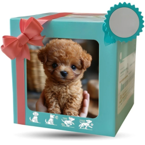 Interactive Cute Dog Robot Electric Simulation Puppy Plush Toys Puppy Plush Doll Barking Walking Dog Toy