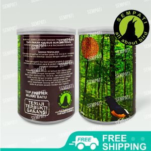 SEMPATI Top Fighter Murai Batu Sempati Pakan Lomba Burung Juara Berkicau Suara Gacor Rajin Bunyi Kristal CRHSBS