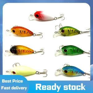 Sports🚴🏻‍♀️ New Cá Chép Cá chép Thiết bị mini lure lure lure lure Rock Fat Man 4g5cm Mini lure Minnow Lure