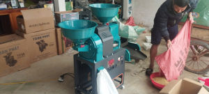 Máy xát gạo đập bột mẫu mới TF57