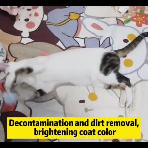 Dog and Cat Pet Powder 260g Anti Tick and Fleas Puppy Dry Cleaning Powder Anti Tick and Fleas