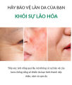 [MINI SIZE] Kem chống nắng Skin1004 Madagascar Centella Airfit Suncream Plus SPF50+ PA++++ 20ml. 