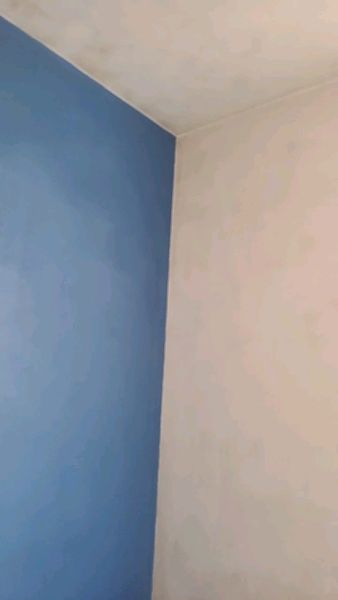 Buyer review video 3