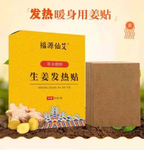 SS1456 Ginger Fever Patch (1 Box of 50 Pieces)/(1 50)